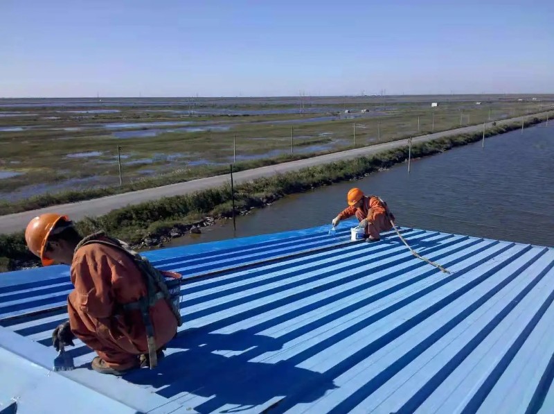 陵城钢结构屋面漏水原因